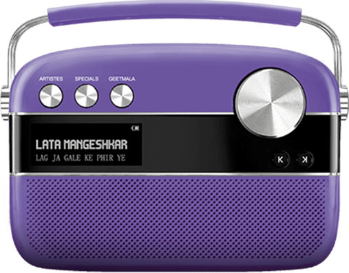 Orchid Purple Orchid Purple