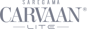 Saregama Carvaan Lite