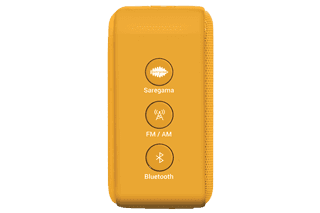 saregama carvaan mini gurbani list