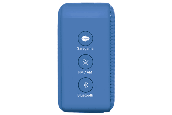 Buy Carvaan Mini Ilaiyaraaja - Portable 